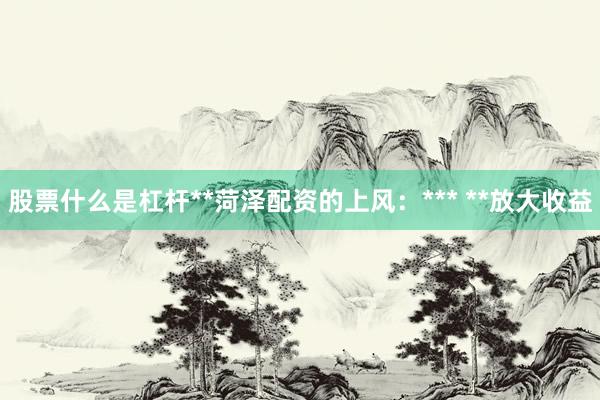 股票什么是杠杆**菏泽配资的上风:*** **放大收益