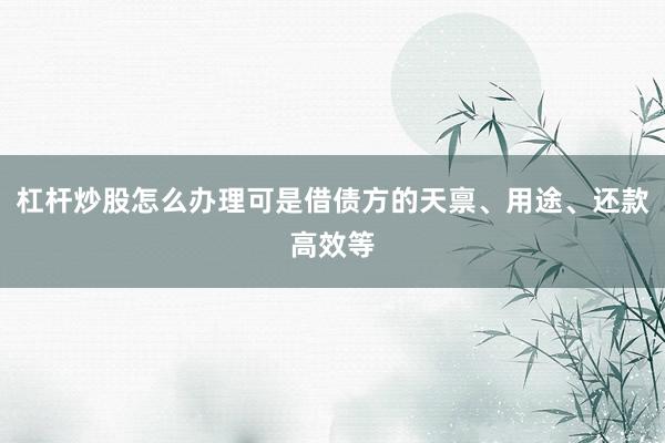 杠杆炒股怎么办理可是借债方的天禀、用途、还款高效等