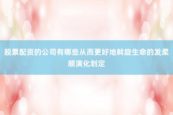 股票配资的公司有哪些从而更好地斡旋生命的发柔顺演化划定