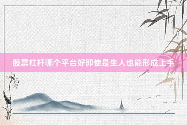 股票杠杆哪个平台好即使是生人也能形成上手