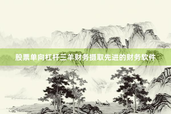 股票单向杠杆三羊财务摄取先进的财务软件