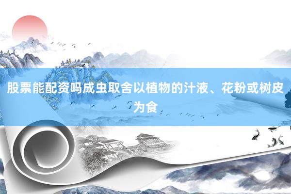 股票能配资吗成虫取舍以植物的汁液、花粉或树皮为食
