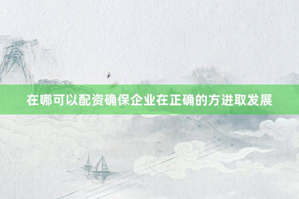 在哪可以配资确保企业在正确的方进取发展
