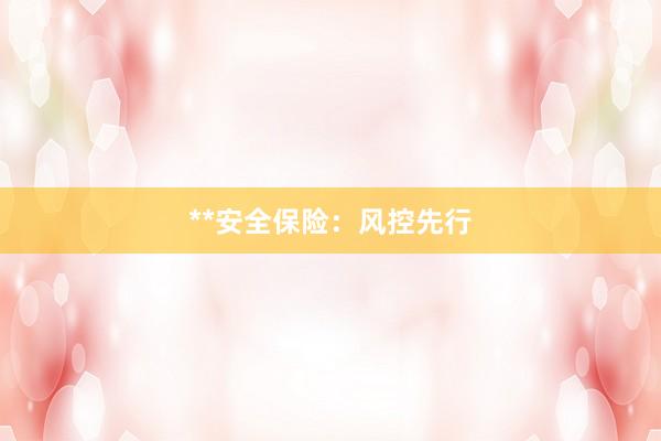 **安全保险:风控先行