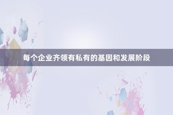 每个企业齐领有私有的基因和发展阶段