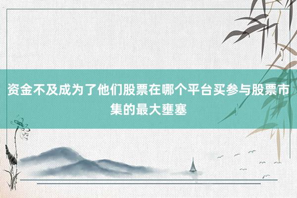 资金不及成为了他们股票在哪个平台买参与股票市集的最大壅塞