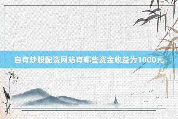 自有炒股配资网站有哪些资金收益为1000元