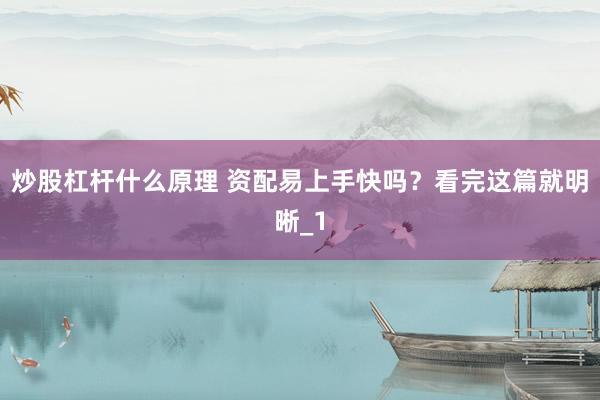 炒股杠杆什么原理 资配易上手快吗？看完这篇就明晰_1